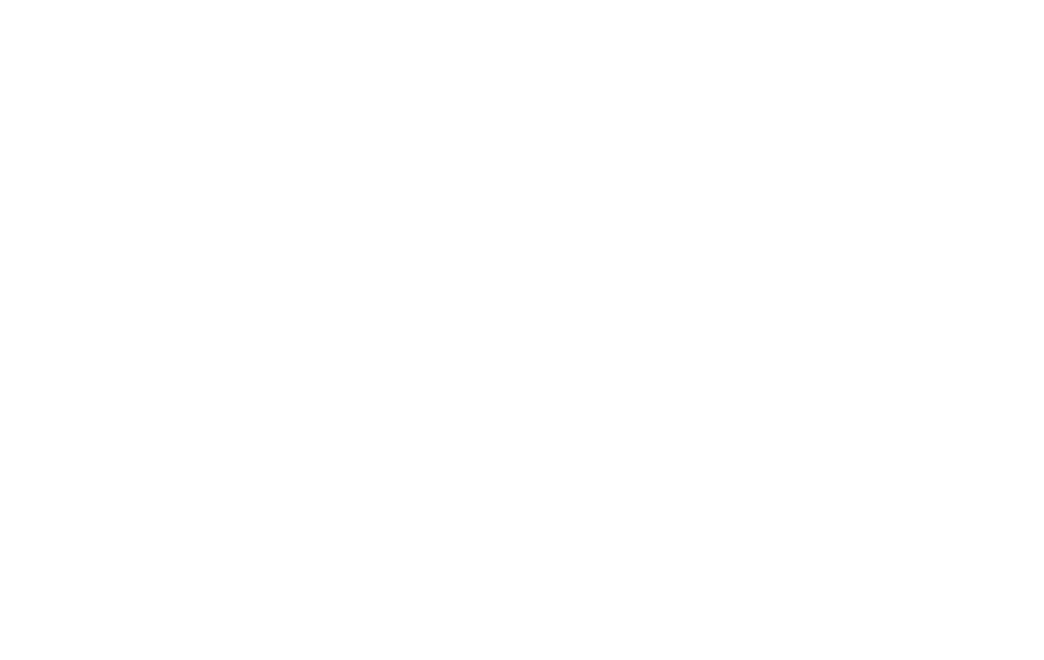 Zeytin Çizim